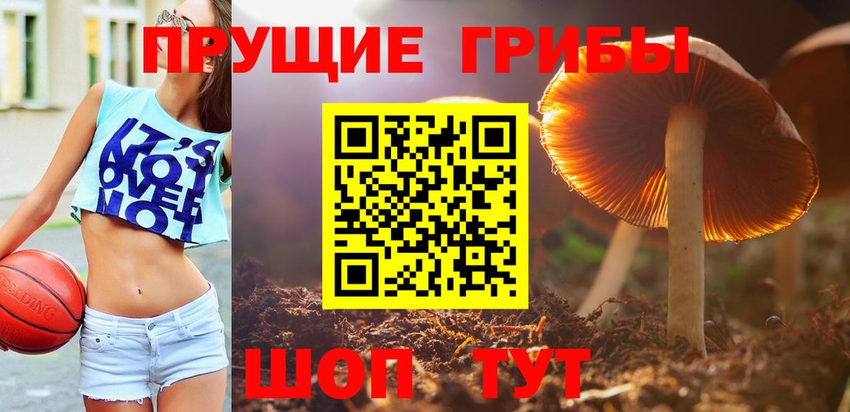 купить наркоту  Вход с VPN  Медногорск  Псилоцибиновые грибы мицелий 